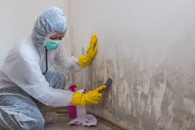 Best Mold Removal for HVAC Installations  in Manhasset, NY